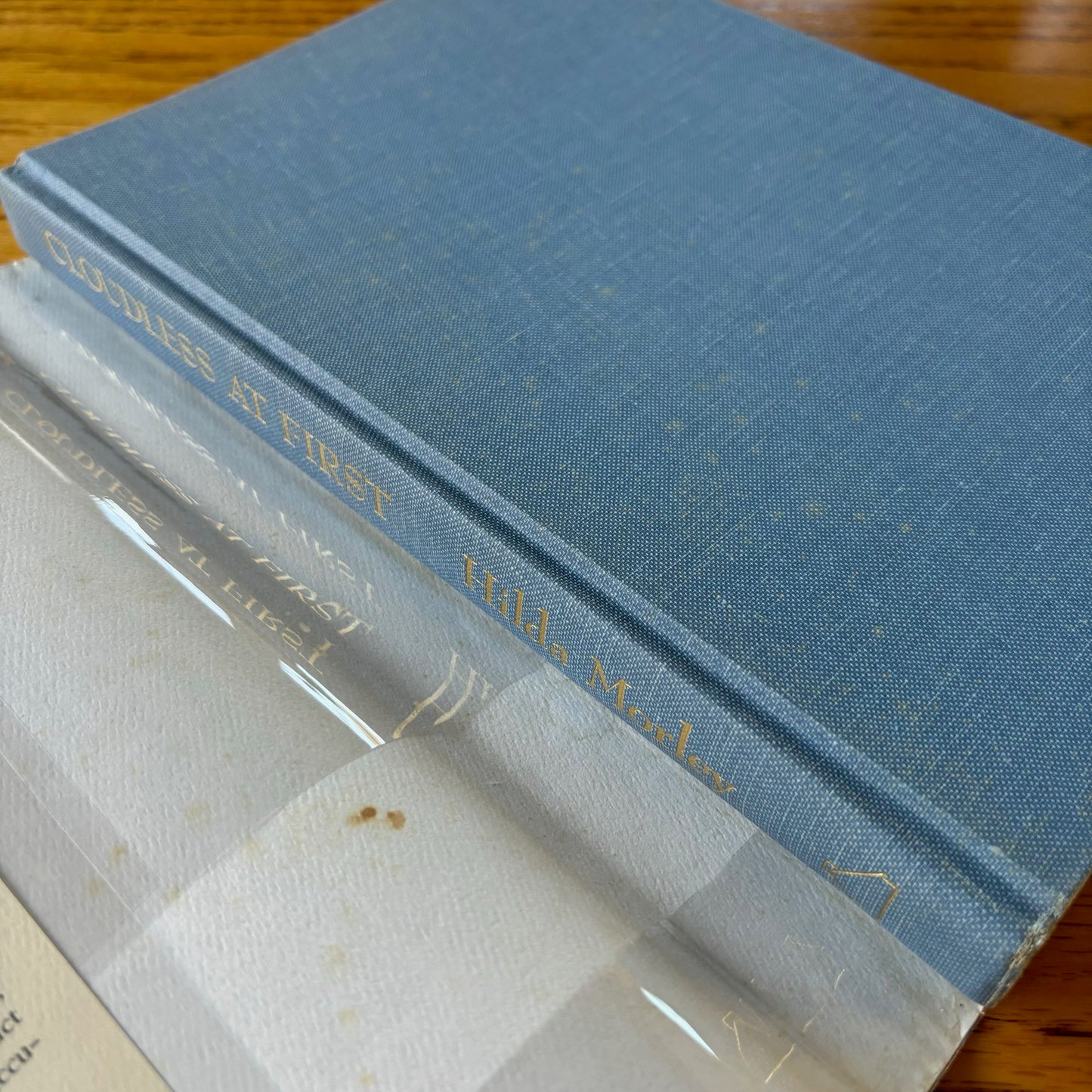 Hilda Morley - Cloudless At First - Signed