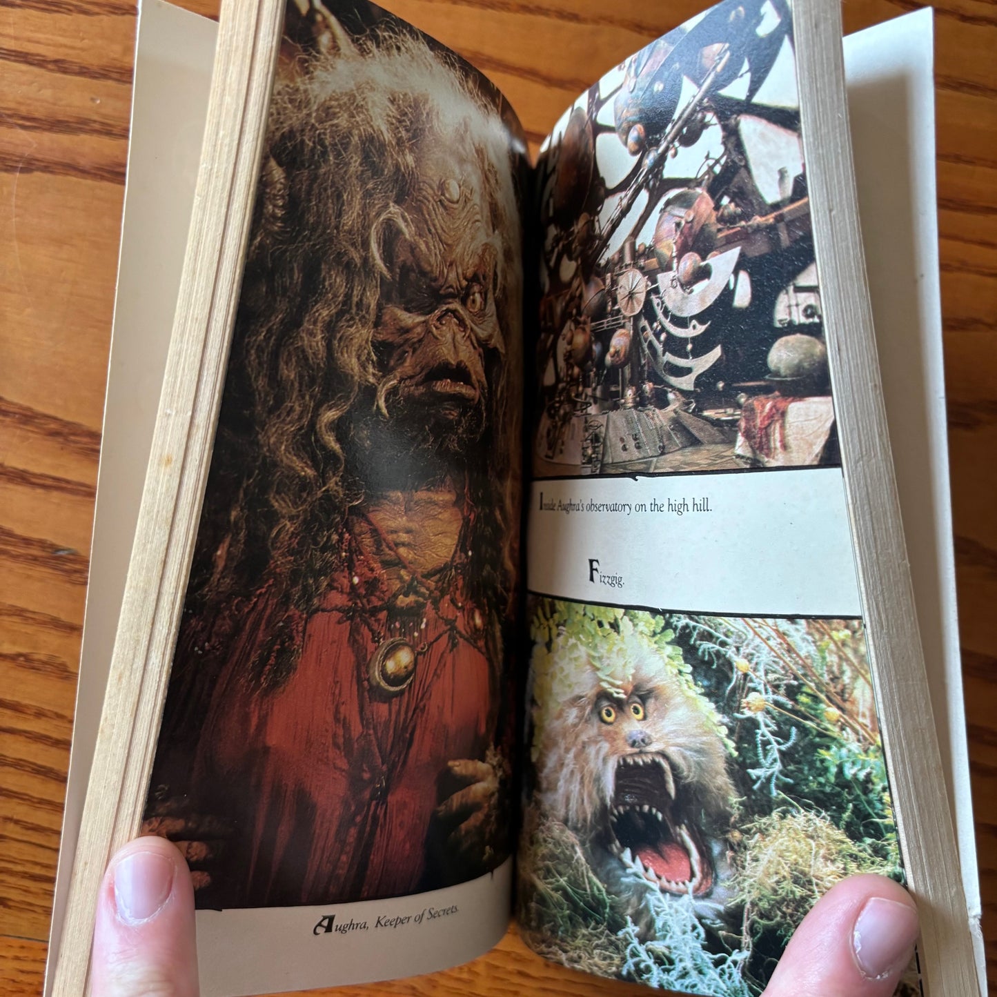 A.C.H. Smith - The Dark Crystal - First Edition