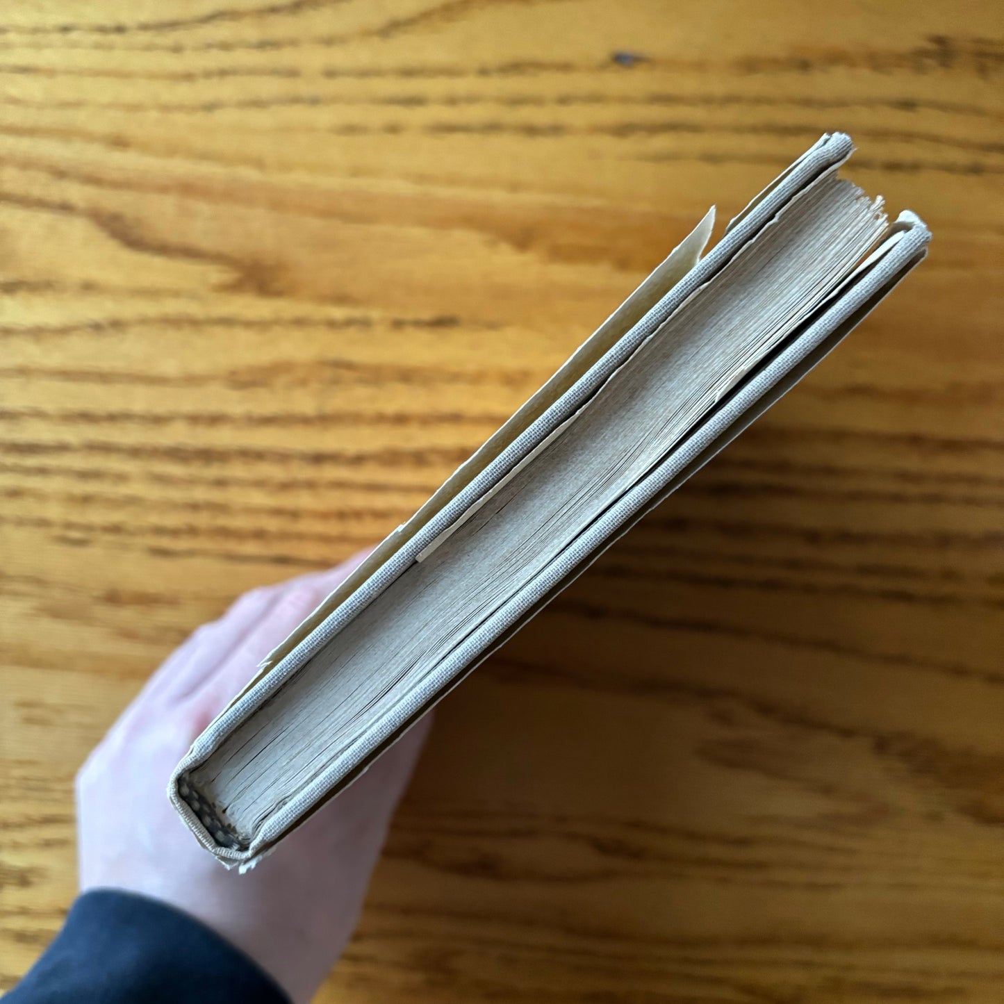 Edward Lueders - The Clam Lake Papers: A Winter in the North Woods