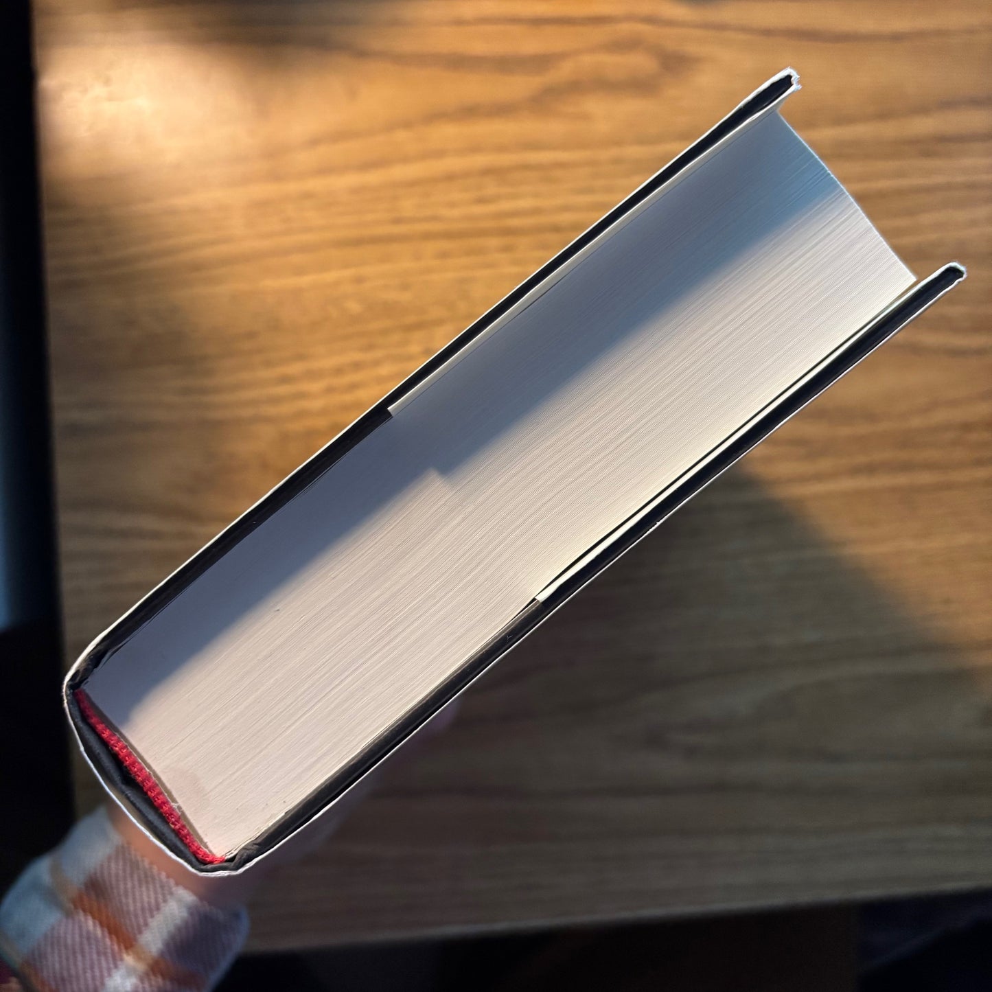 Bernard E. Harcourt - Critique & Praxis - First Edition