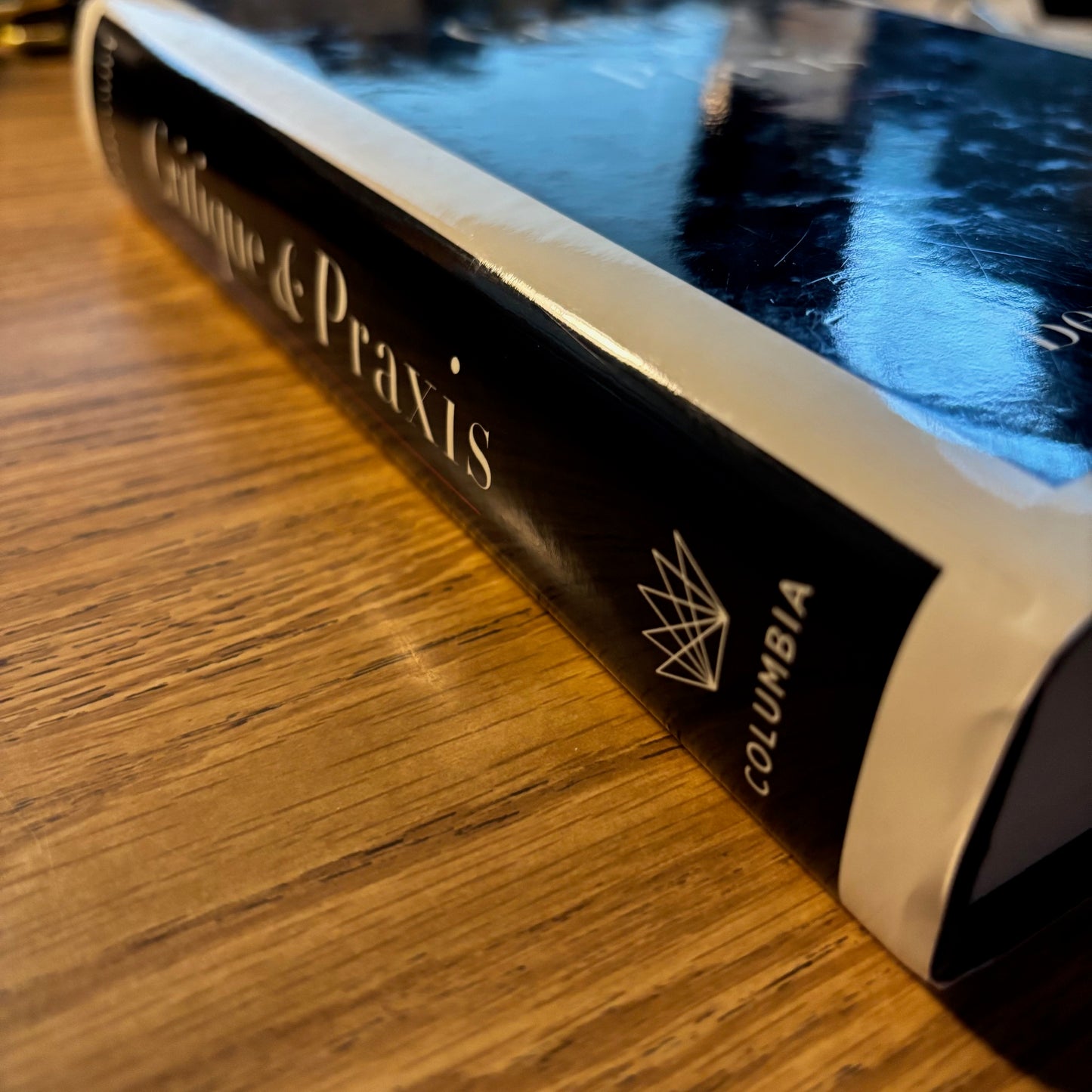 Bernard E. Harcourt - Critique & Praxis - First Edition