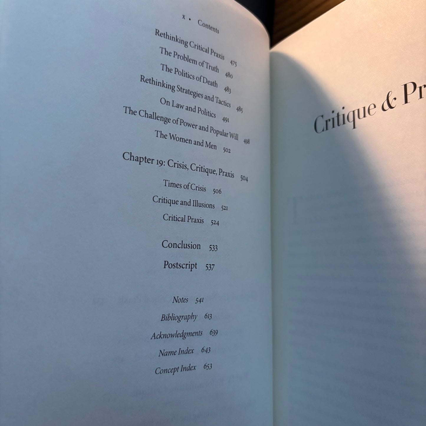 Bernard E. Harcourt - Critique & Praxis - First Edition