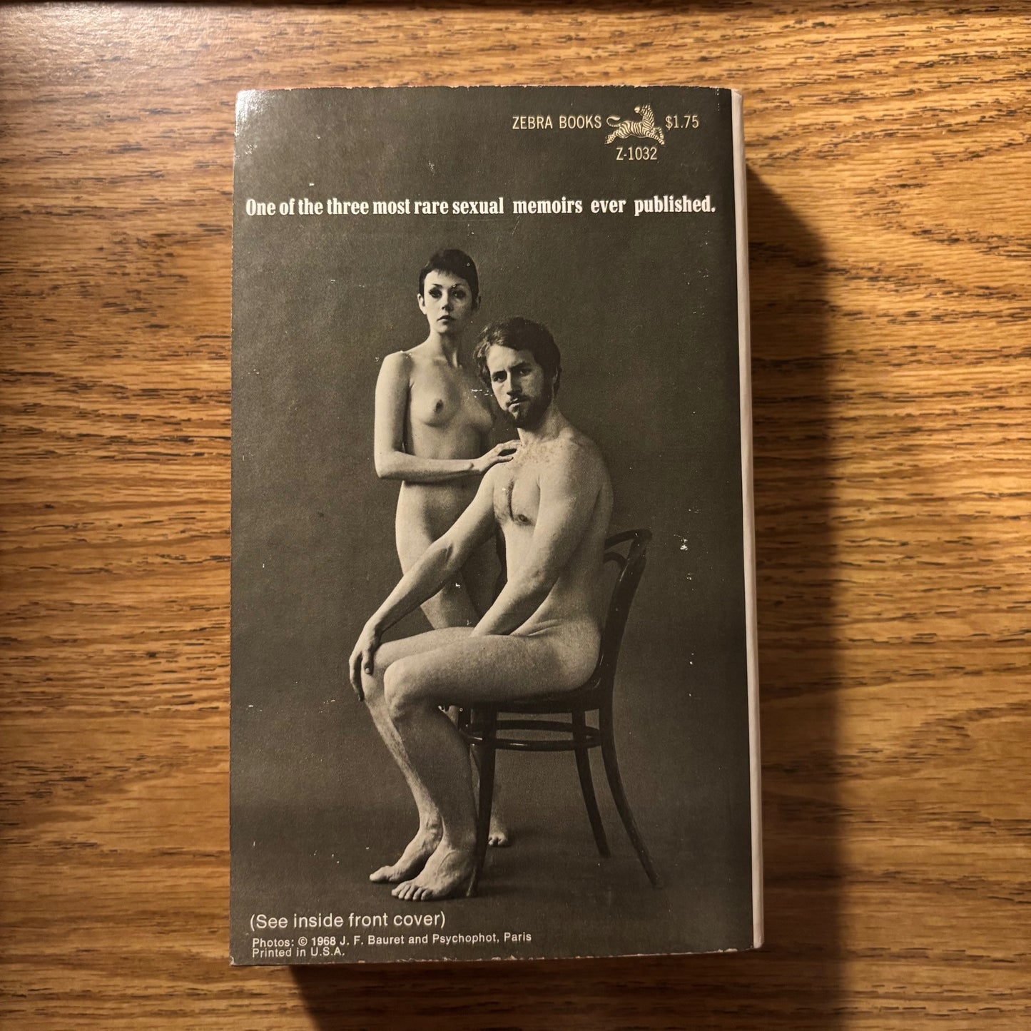 Suburban Souls: The Erotic Psychology of a Man & a Maid - First Edition Paperback