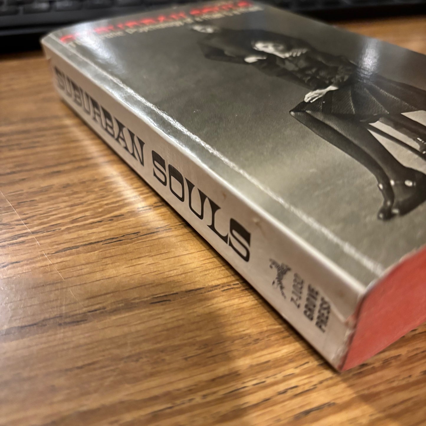 Suburban Souls: The Erotic Psychology of a Man & a Maid - First Edition Paperback