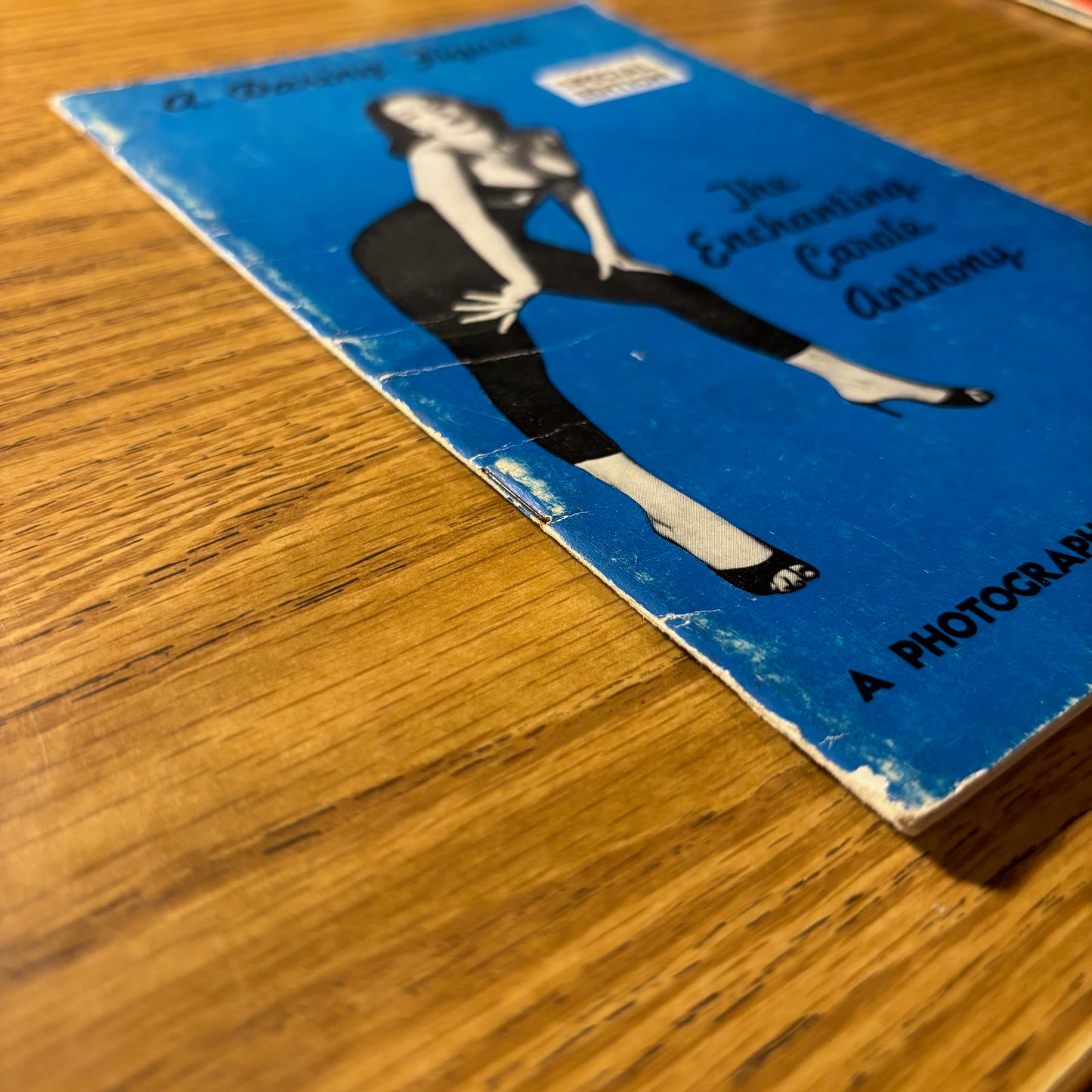 A Daring Figure: A Photographers Guide in Modeling: Special Edition: The Enchanting Carole Anthony