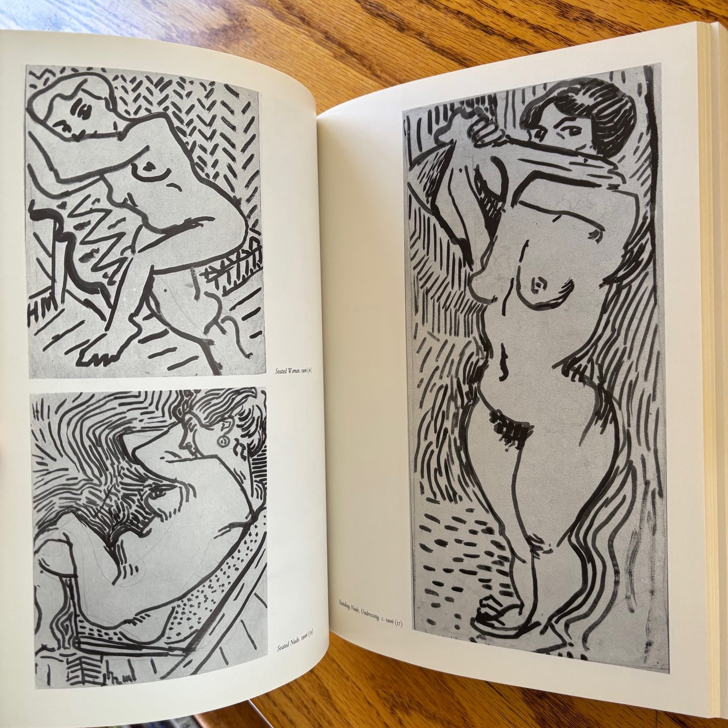The Drawings of Henri Matisse