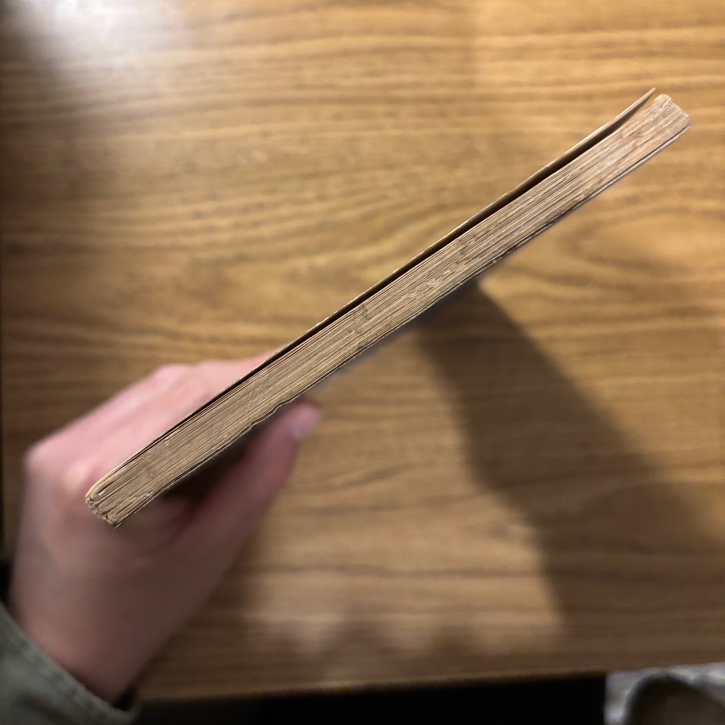 Studies on the Left Vol. 3 No. 6