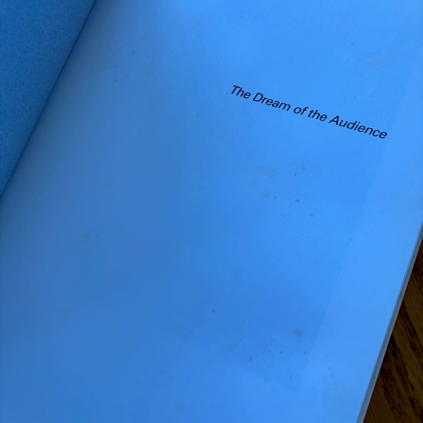 The Dream of the Audience: Theresa Hak Kyung Cha