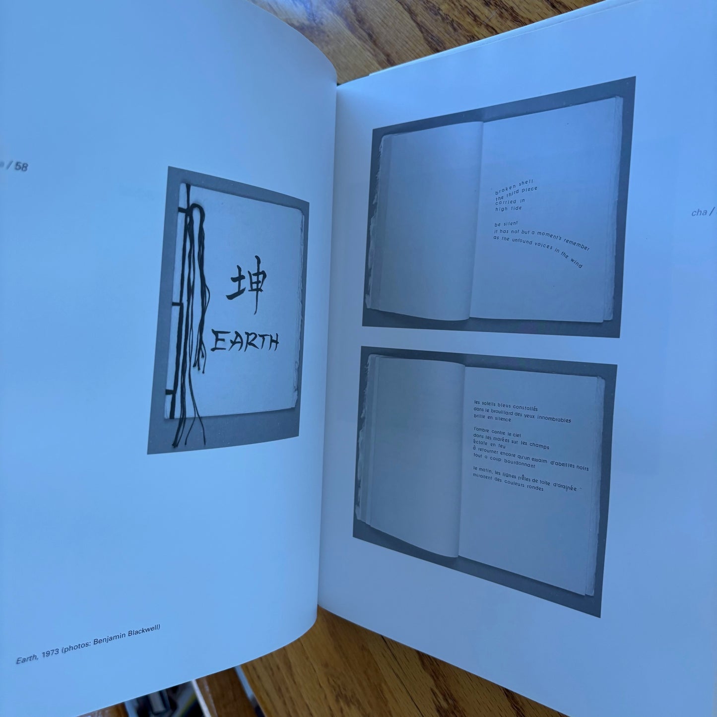 The Dream of the Audience: Theresa Hak Kyung Cha
