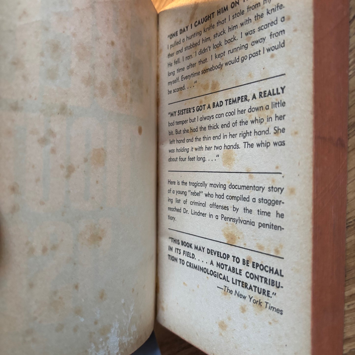 Robert M. Lindner - Rebel Without a Cause