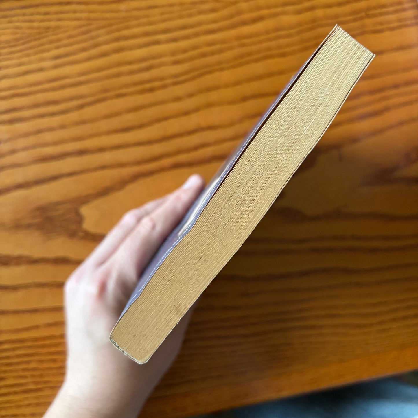 Gabriel Garcia Marquez - Collected Novellas