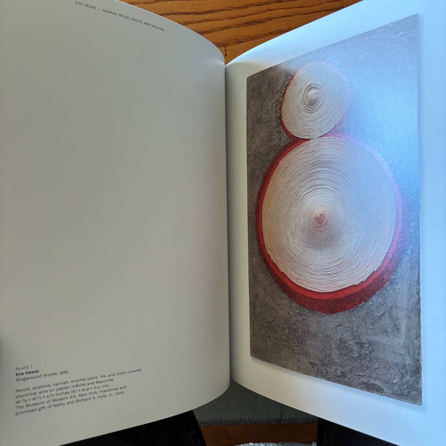 Eva Hesse, Hannah Wilke: Erotic Abstraction