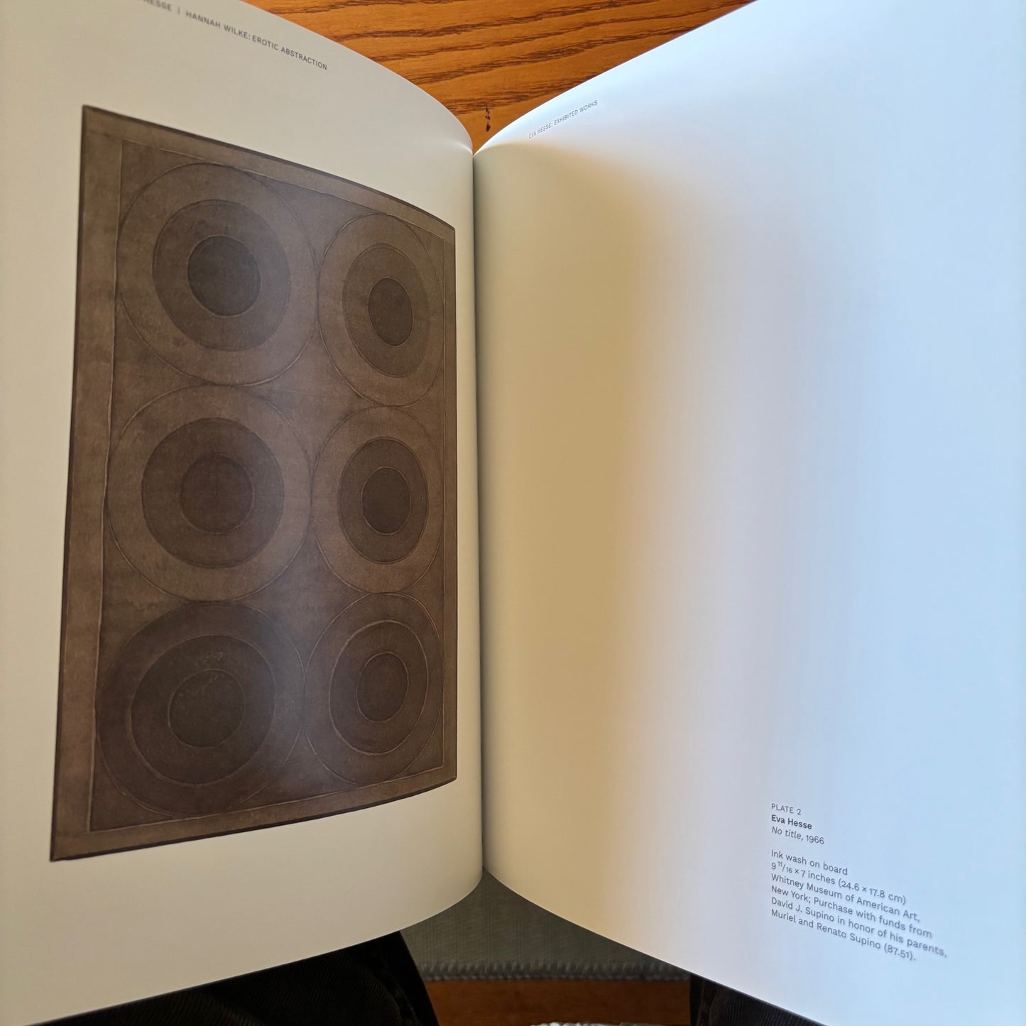 Eva Hesse, Hannah Wilke: Erotic Abstraction