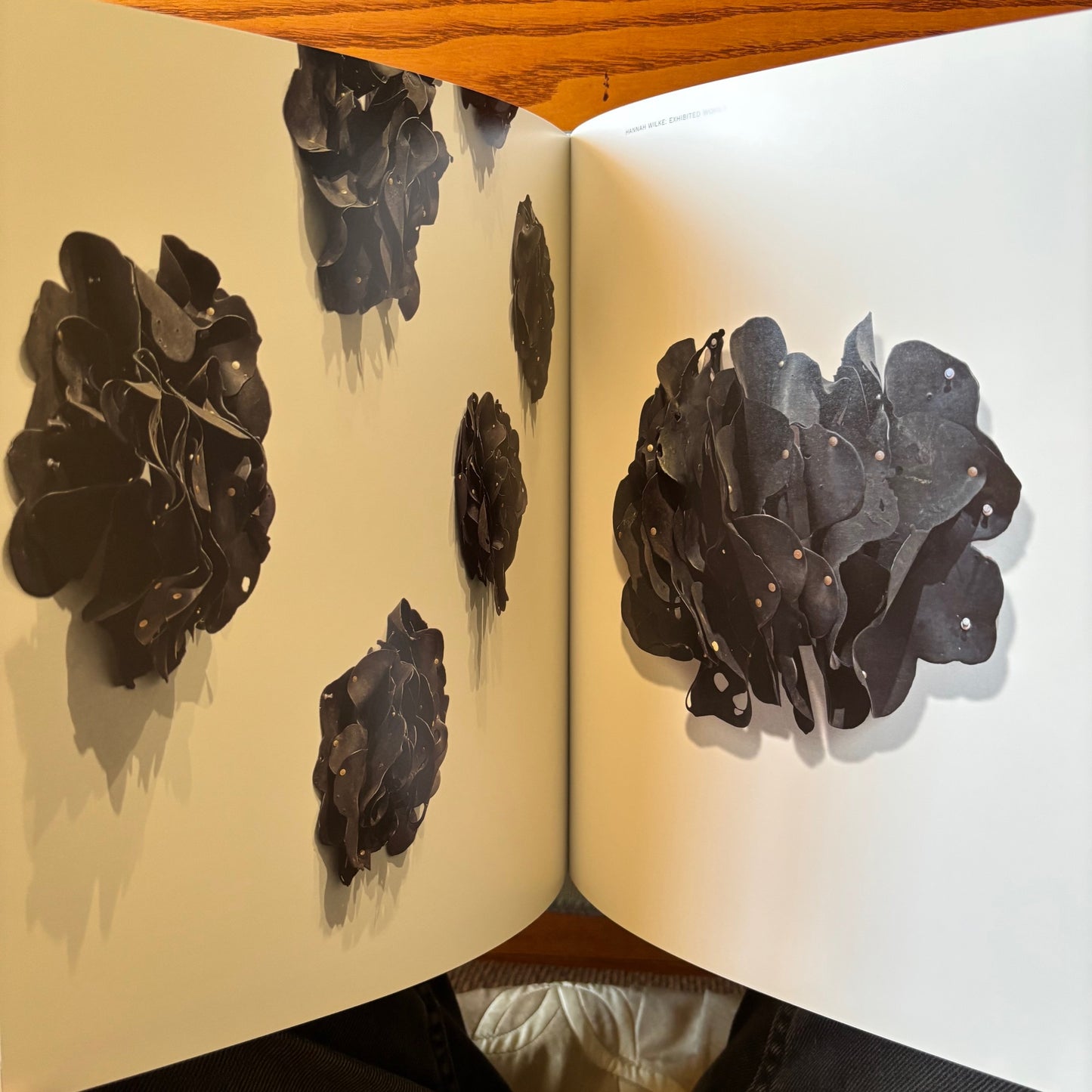 Eva Hesse, Hannah Wilke: Erotic Abstraction