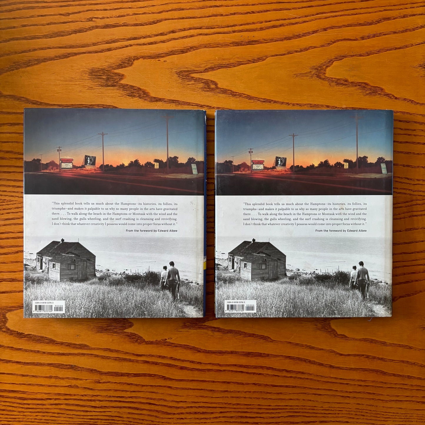 Helen A. Harrison & Constance Ayers Denne - Hamptons Bohemia: Two Centuries of Artists and Writers on the Beach