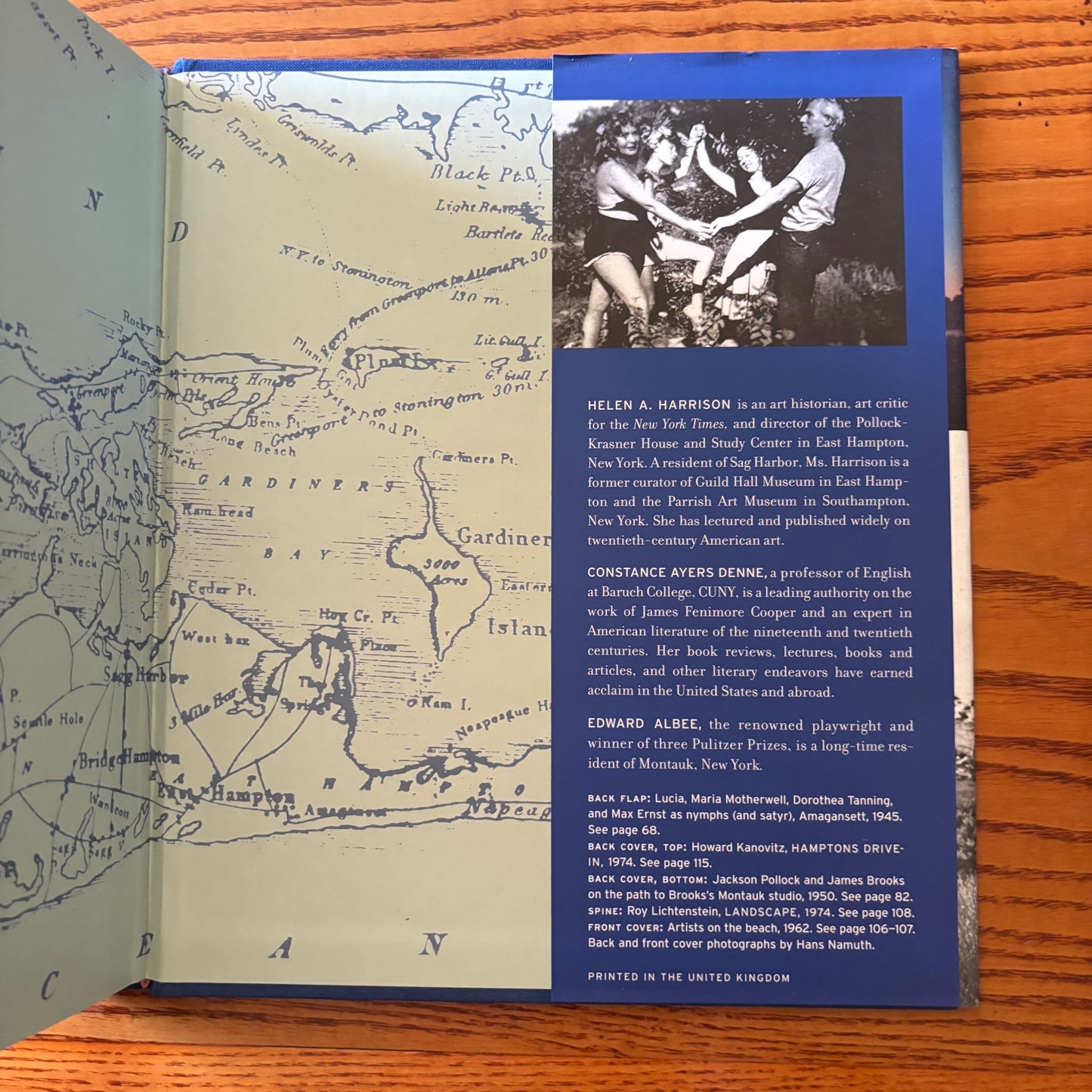 Helen A. Harrison & Constance Ayers Denne - Hamptons Bohemia: Two Centuries of Artists and Writers on the Beach