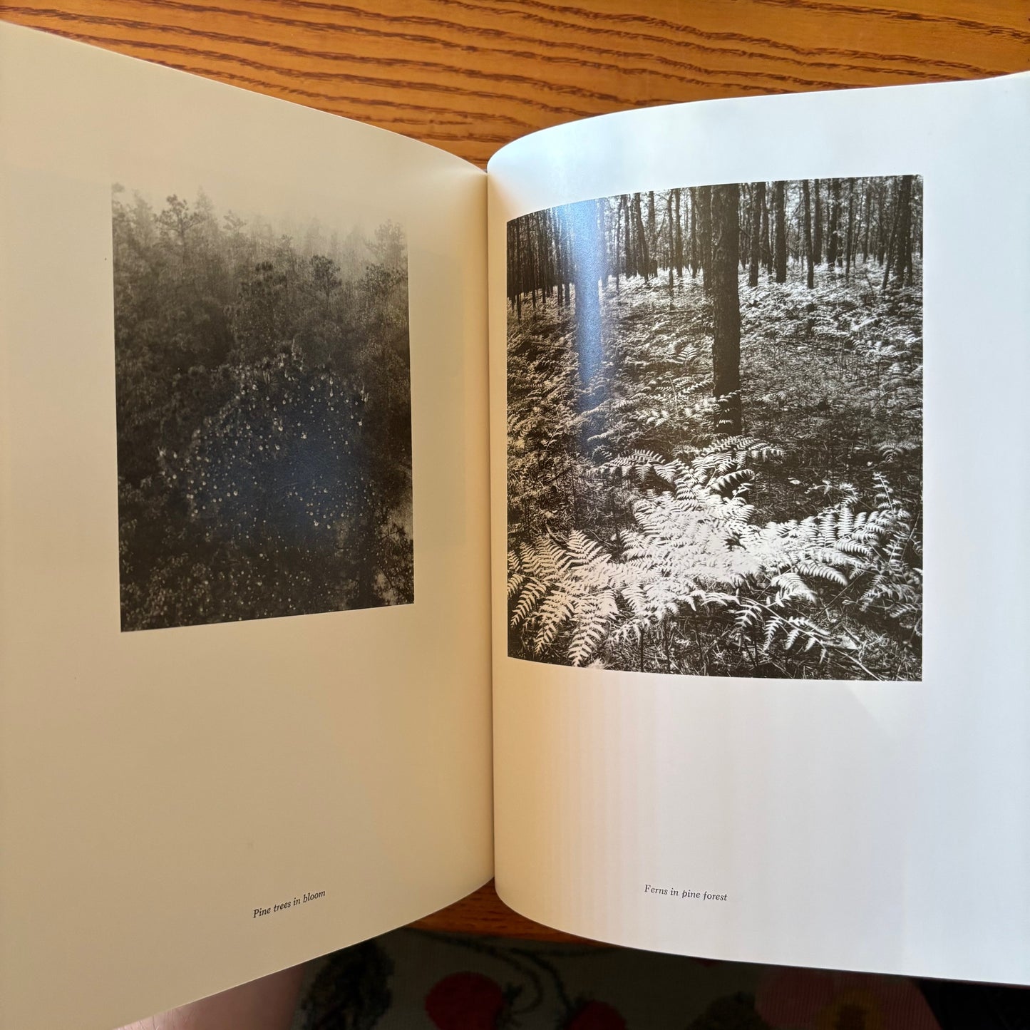 John McPhee, Bill Curtsinger - The Pine Barrens - Signed
