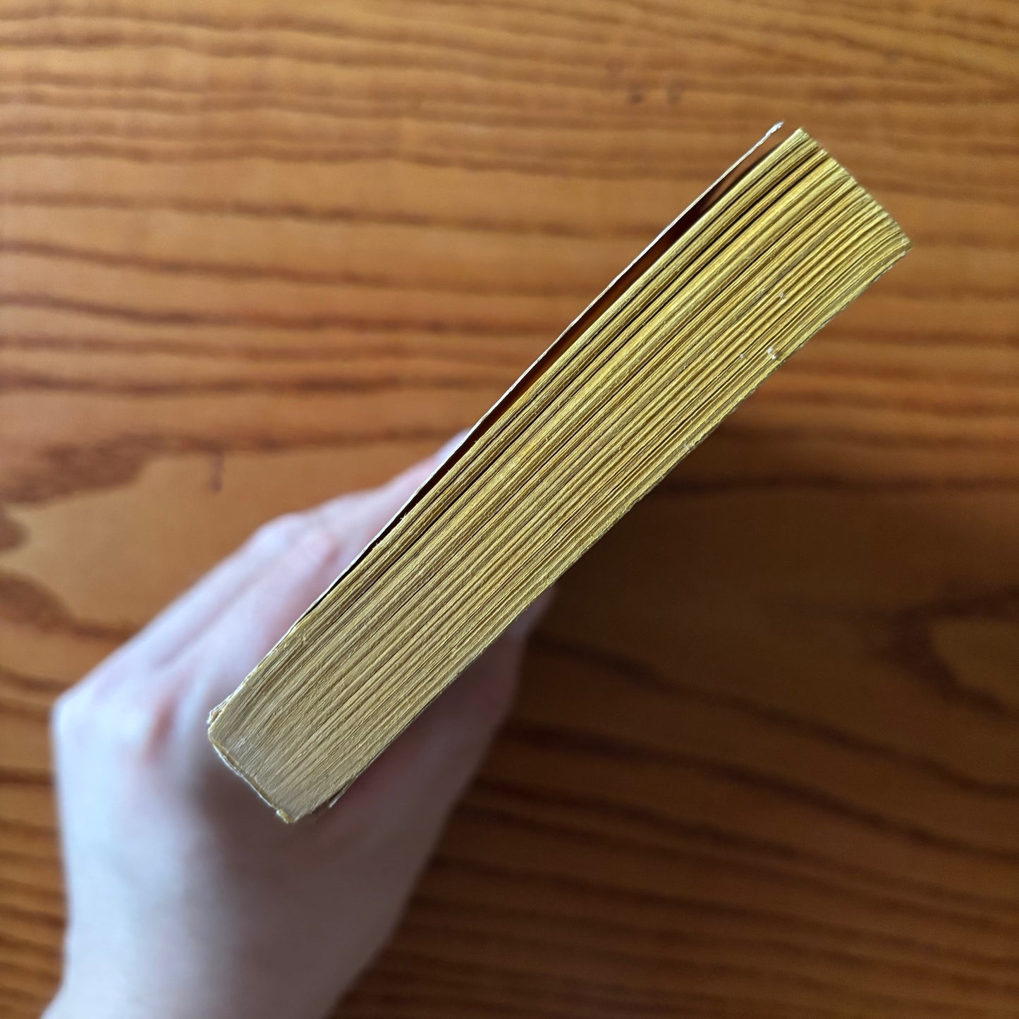 Charles L. Grant, ed. - Nightmares - First Edition