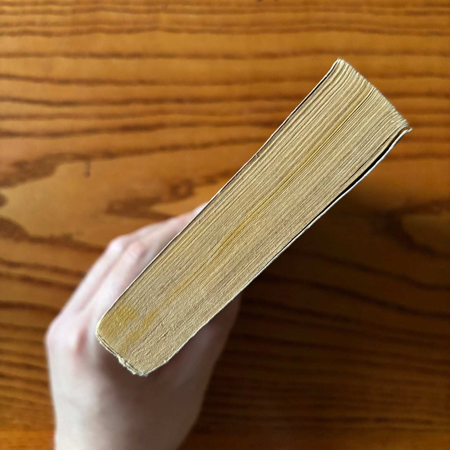Karl Edward Wagner, ed. - The Year's Best Horror Stories XIV - First Edition
