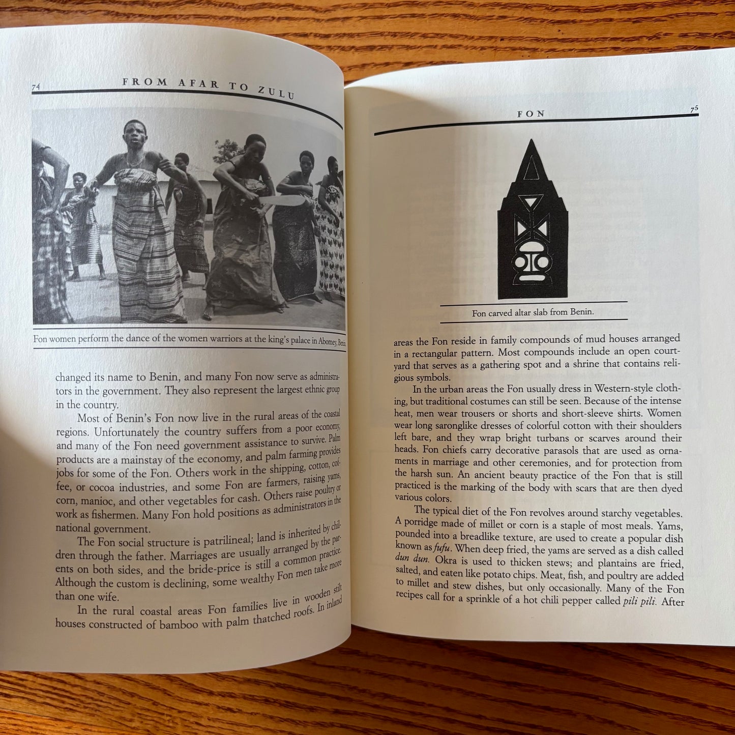 Jim Haskins & Joann Biondi - From Afar to Zulu: A Dictionary of African Cultures - First Edition Paperback