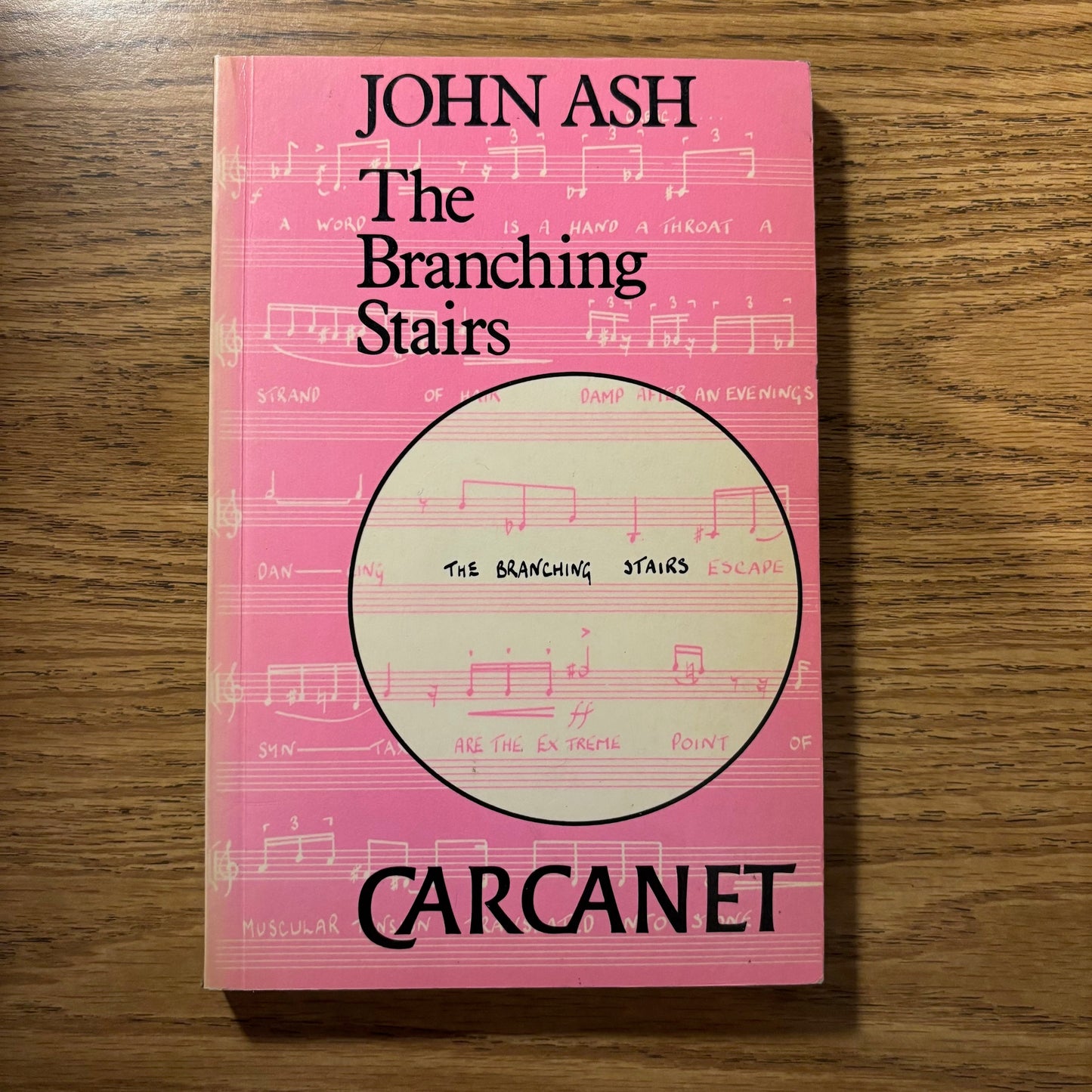 John Ash - The Branching Stairs - First Edition Paperback