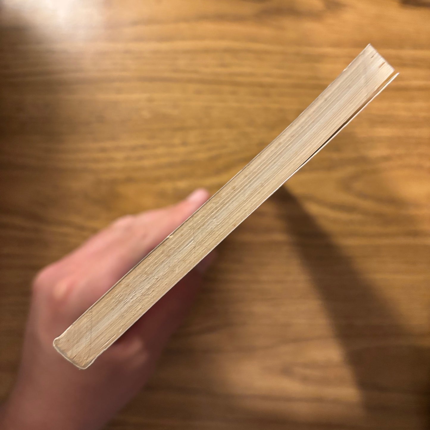 John Ash - The Branching Stairs - First Edition Paperback