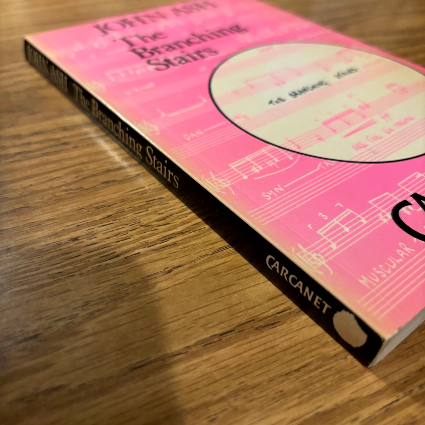 John Ash - The Branching Stairs - First Edition Paperback