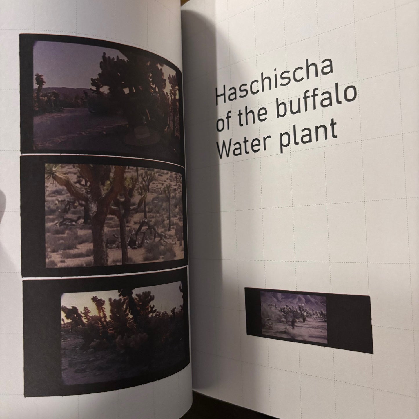 Safaa (Argyros) Fathy - Al Haschische - First Edition