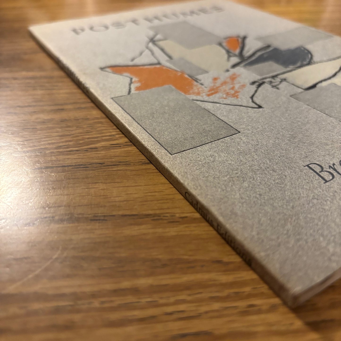 Bradford Morrow - Posthumes - First Edition