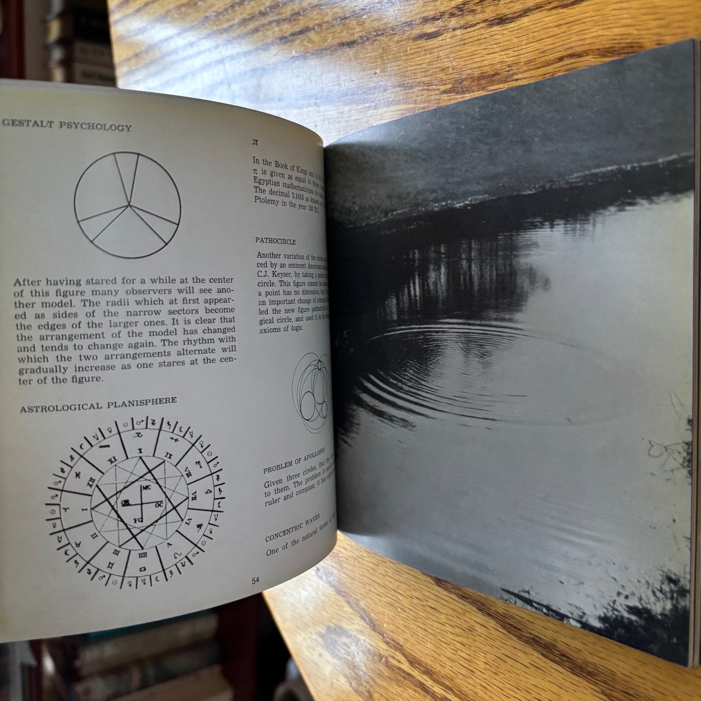 Bruno Munari - Discovery of the Circle