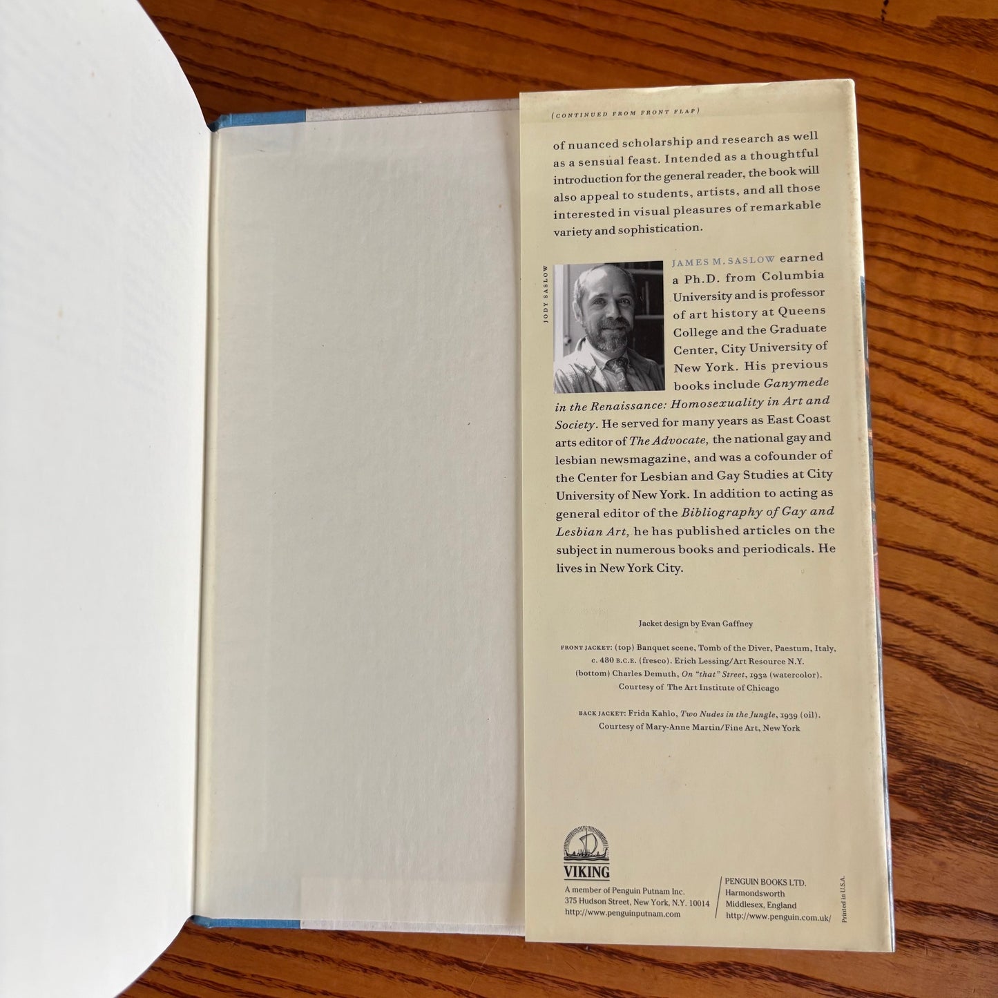 James M. Saslow - Pictures and Passions: A History of Homosexuality in the Visual Arts - First Edition