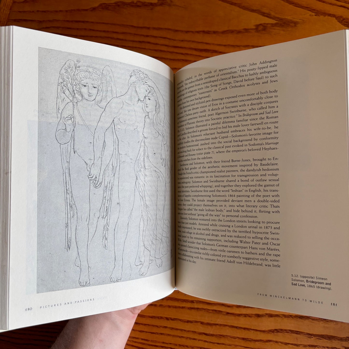 James M. Saslow - Pictures and Passions: A History of Homosexuality in the Visual Arts - First Edition