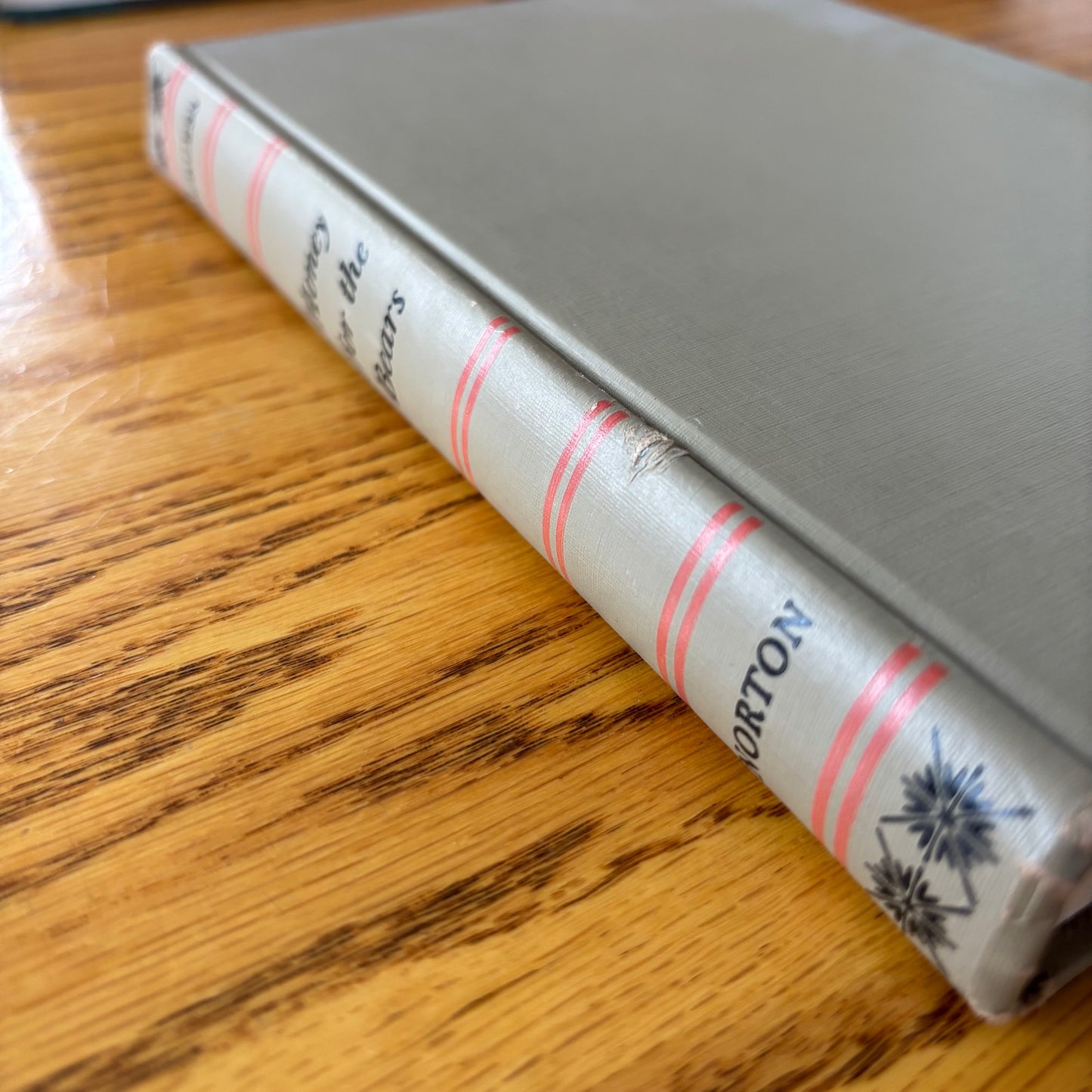 Anthony Burgess - Honey for the Bears - First Edition