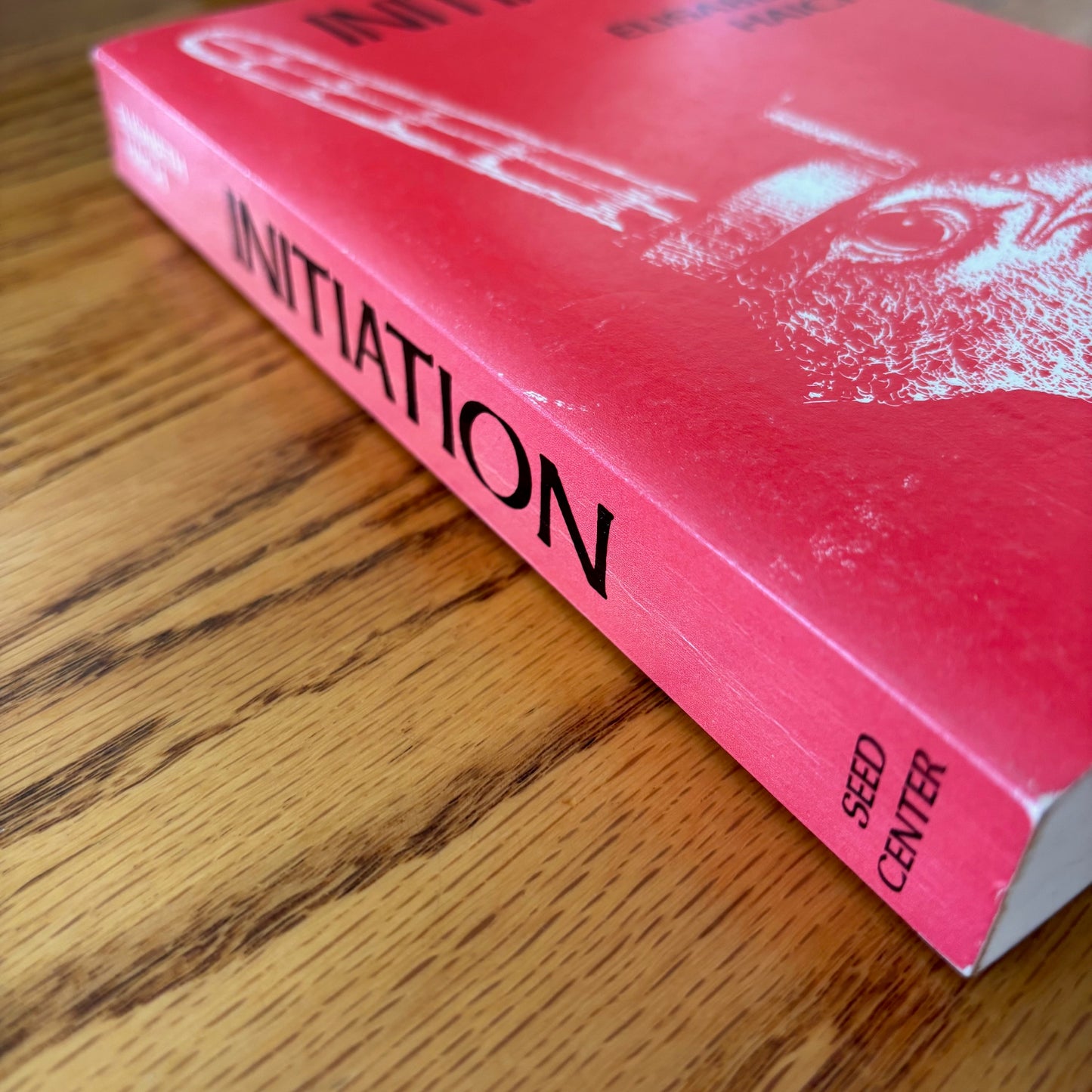 Elizabeth Haich - Initiation