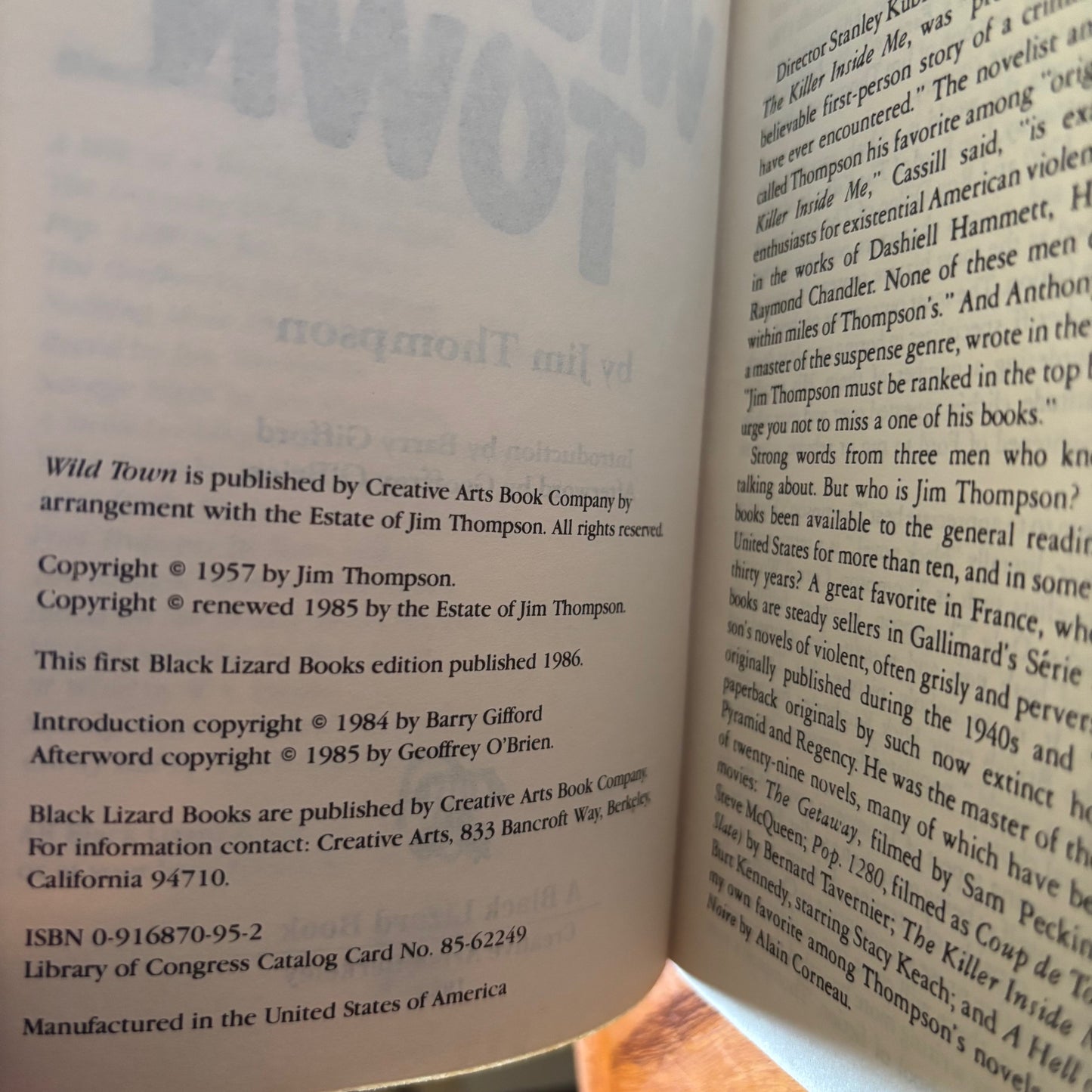 Jim Thompson - Wild Town