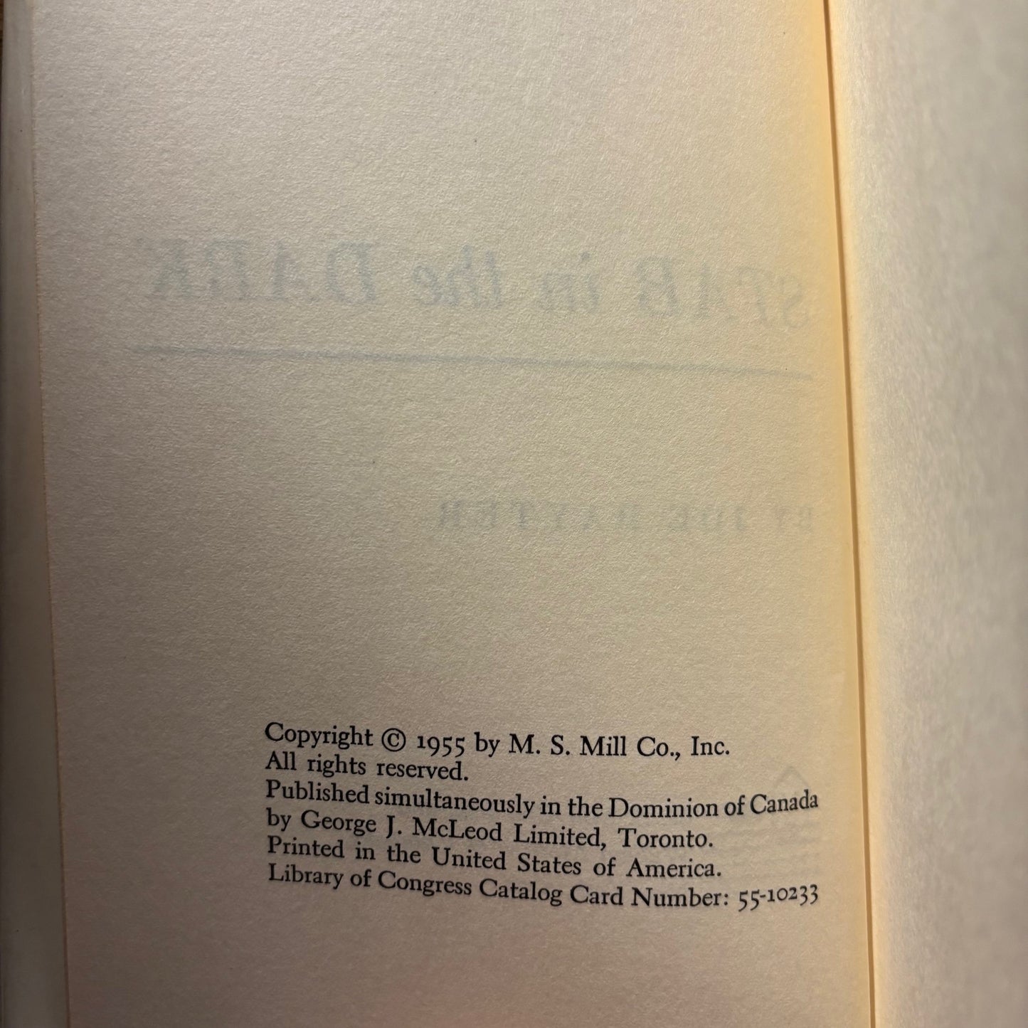(Mary Fuller McChesney) Joe Rayter - Stab in the Dark - First Edition