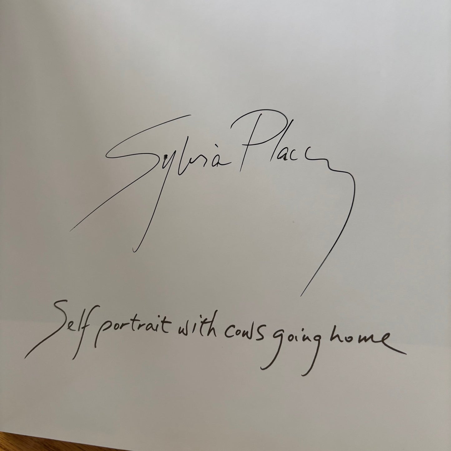 Sylvia Plachy - Self Portrait with Cows Going Home - Signed