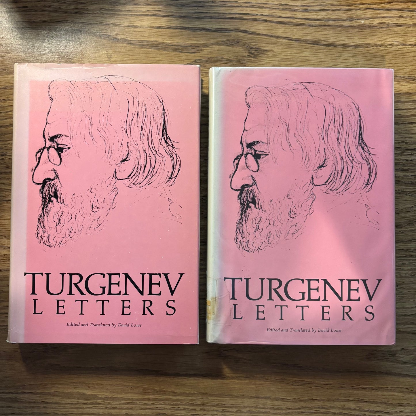 Ivan Turgenev - Letters - 2 Volumes