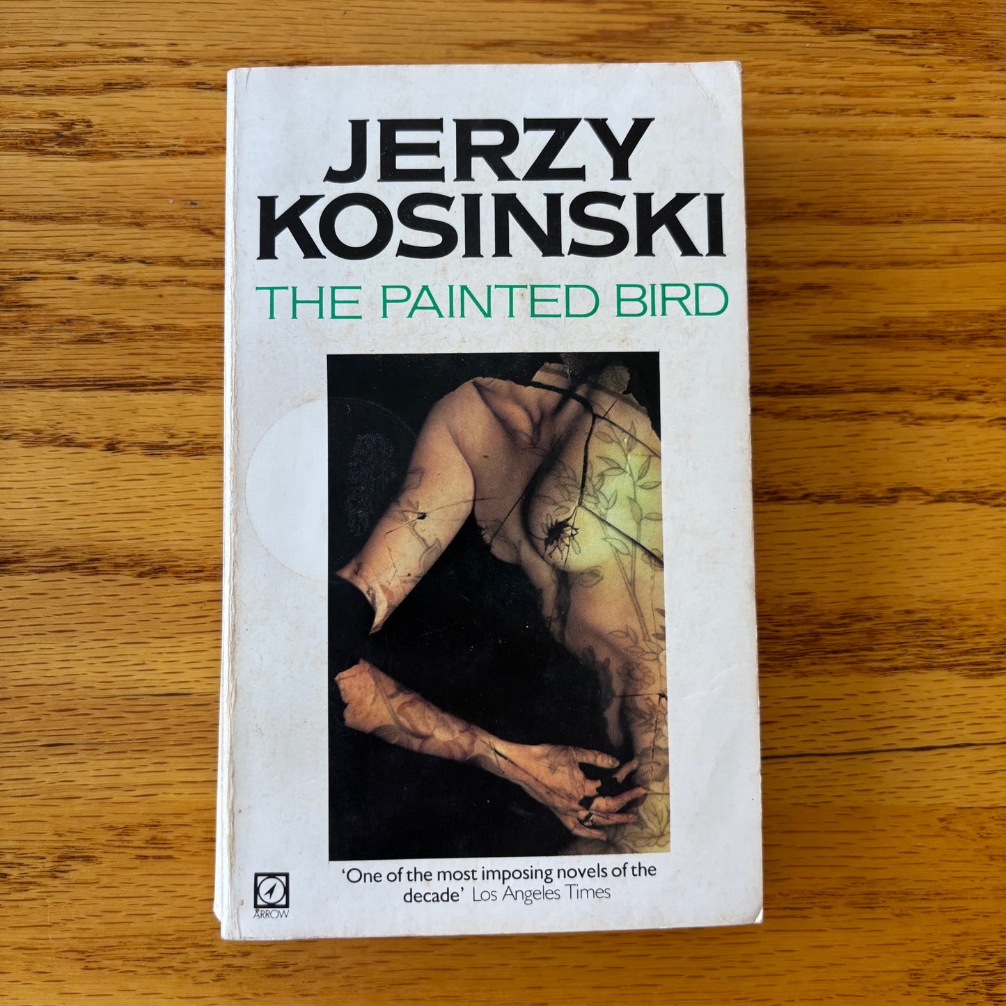 Jerzy Kosinski - The Painted Bird