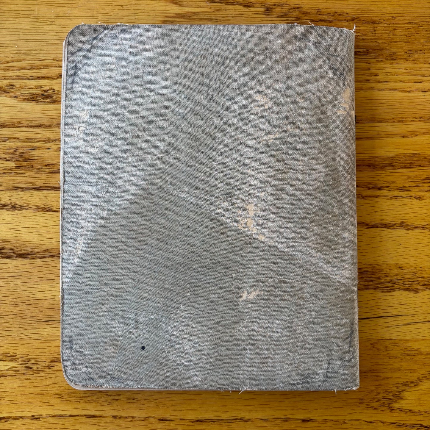 Frank Richard's Plant Science Notebook (early 1900s)