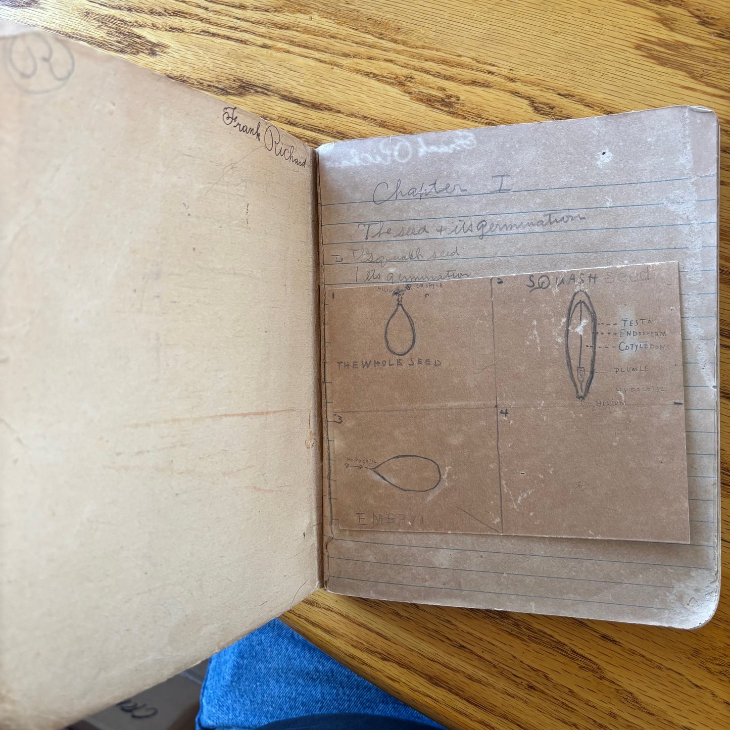 Frank Richard's Plant Science Notebook (early 1900s)