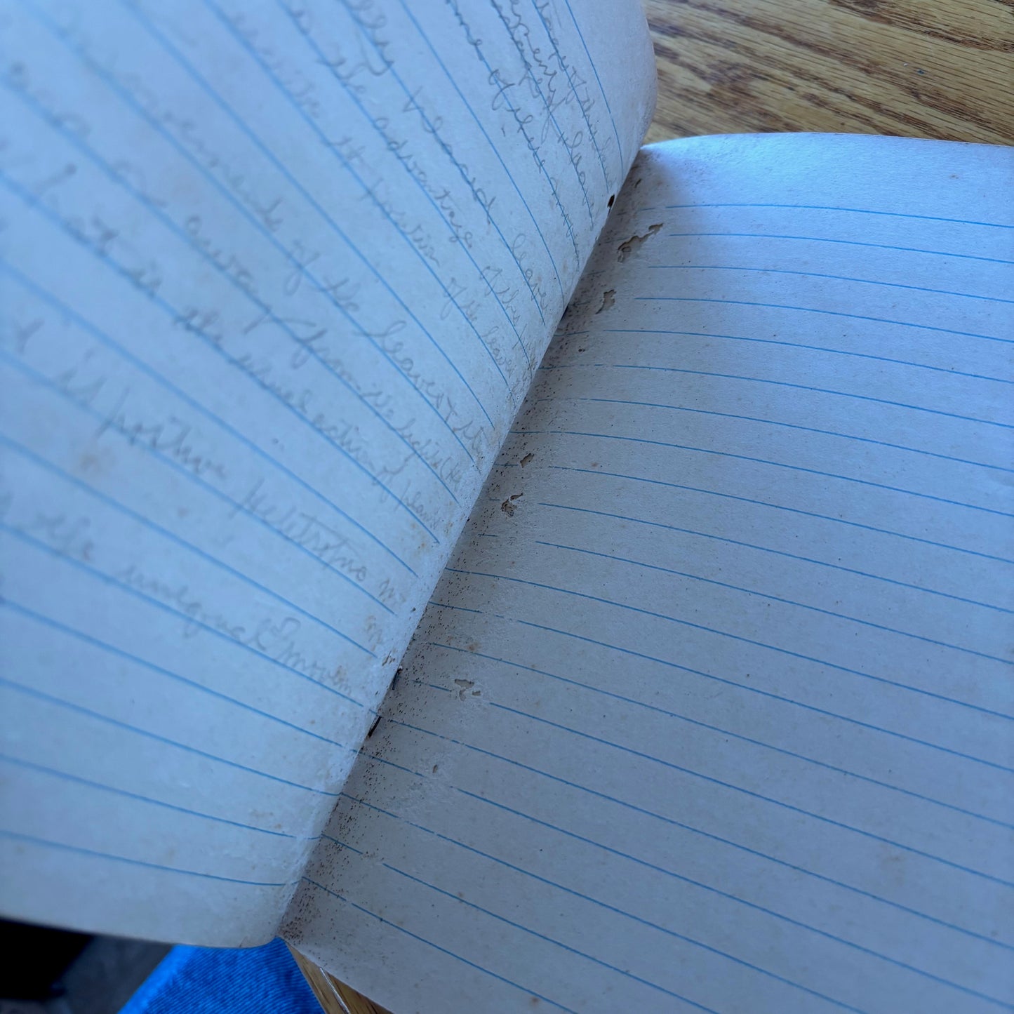 Frank Richard's Plant Science Notebook (early 1900s)
