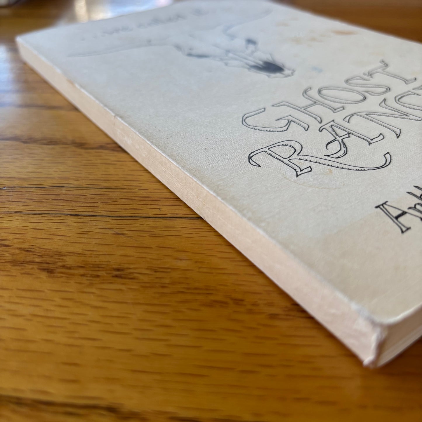 Arthur Newton Pack - We Called It Ghost Ranch