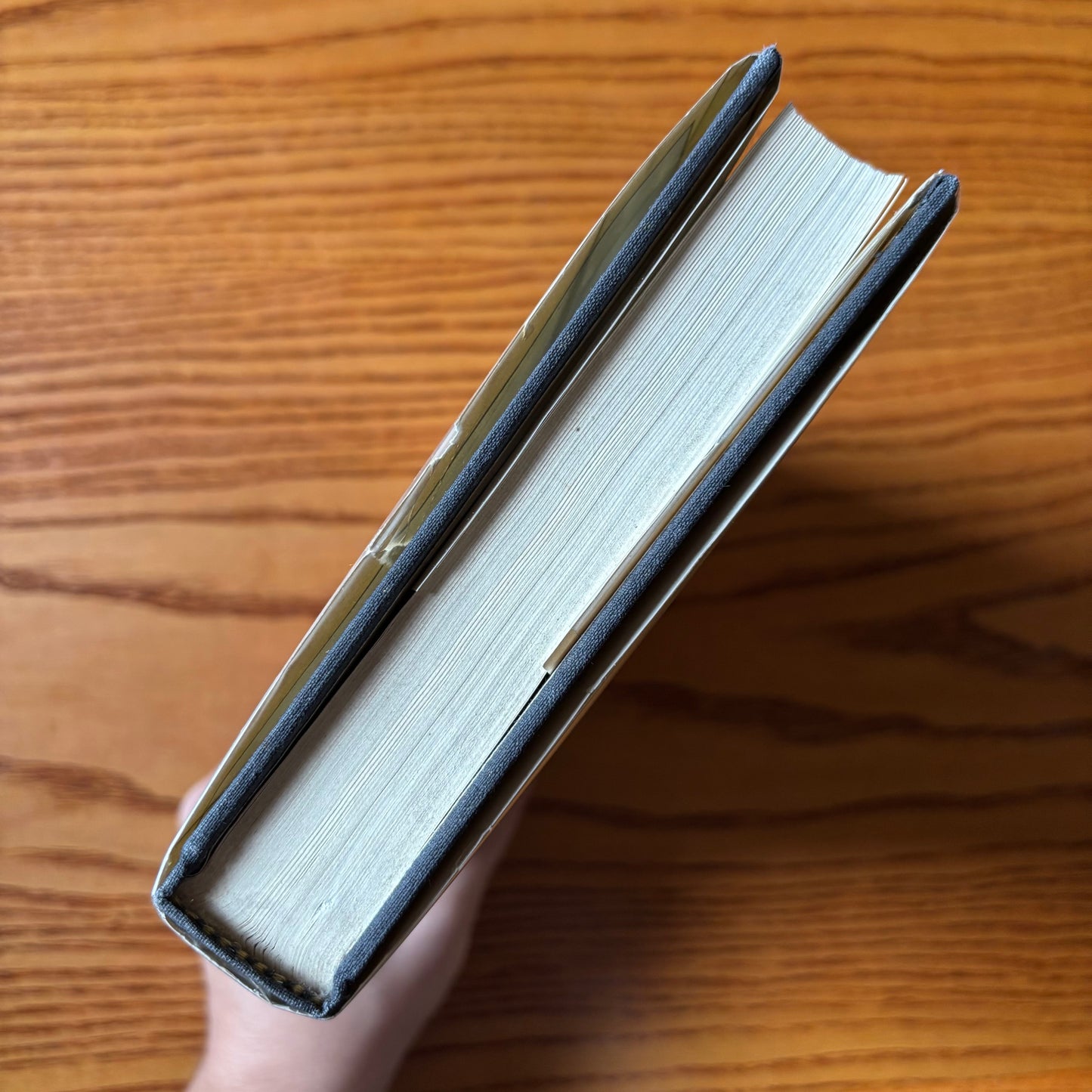 Larry Kramer - Faggots - First Edition