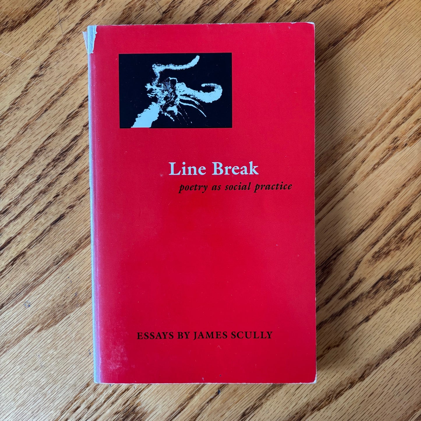 James Scully - Line Break: Poetry as Social Practice
