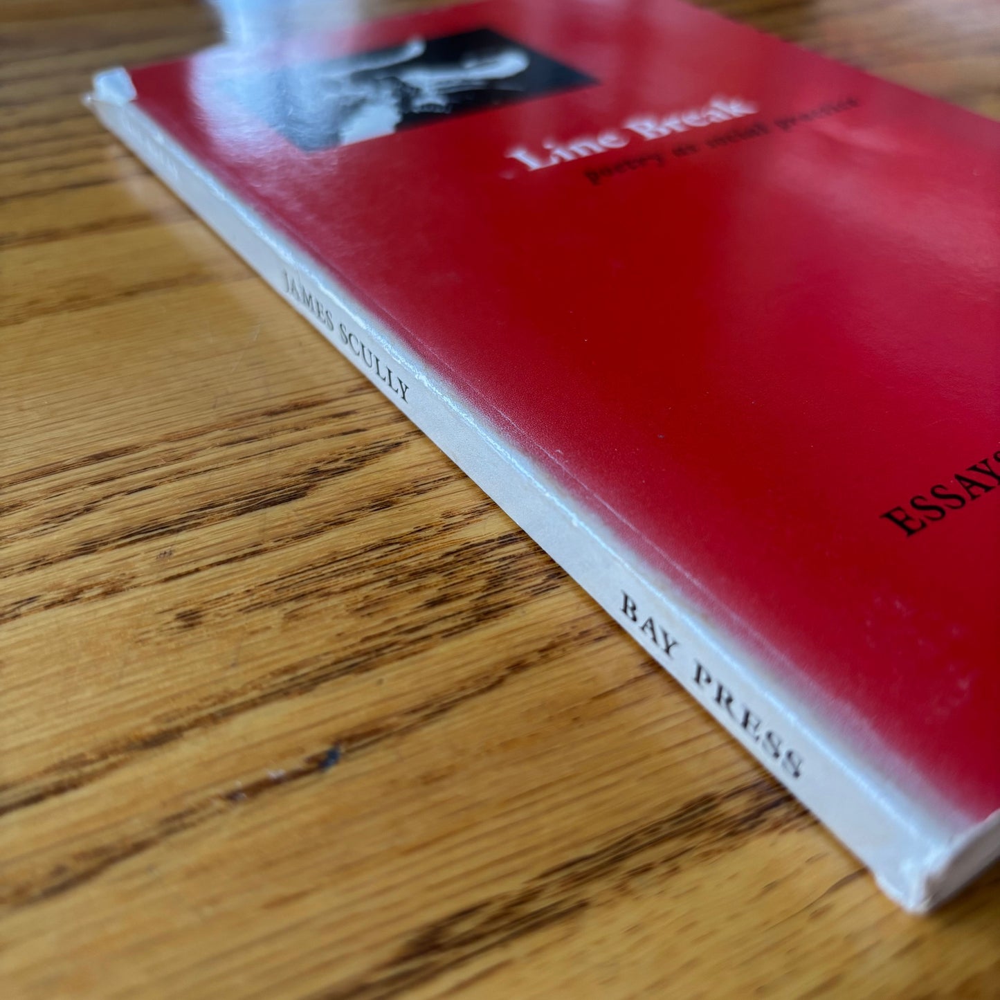 James Scully - Line Break: Poetry as Social Practice