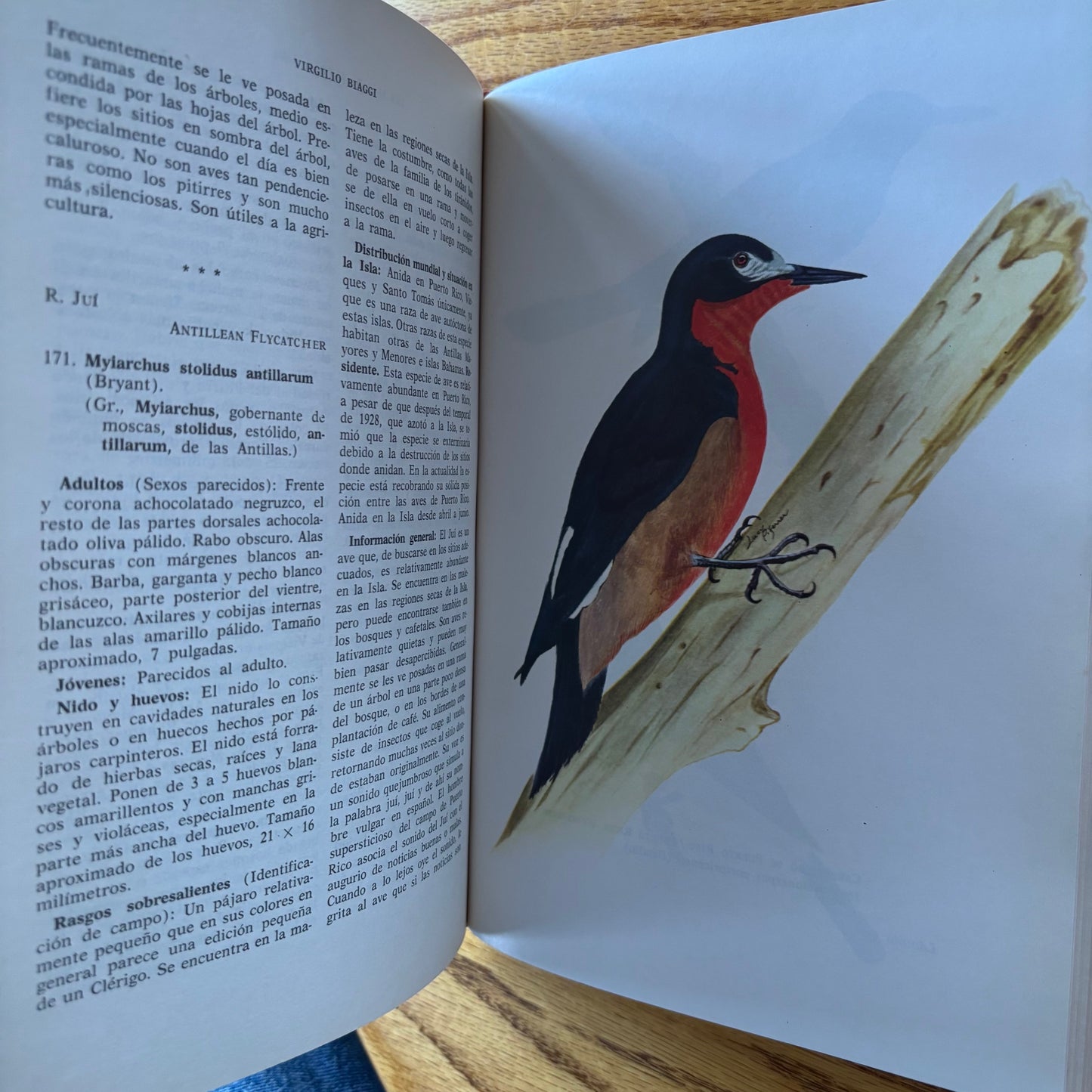 Virgilio Biaggi - Las Aves de Puerto Rico