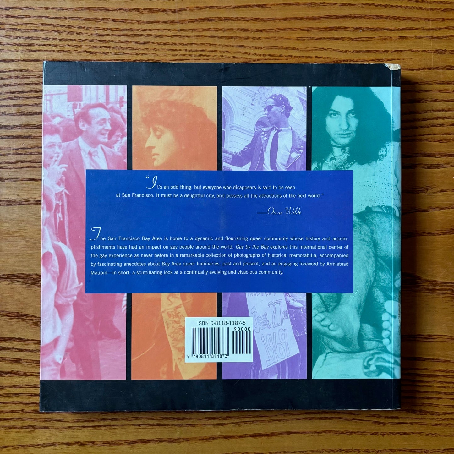 Susan Stryker & Jim Van Buskirk - Gay by the Bay: A History of Queer Culture in the San Francisco Bay Area - First Edition