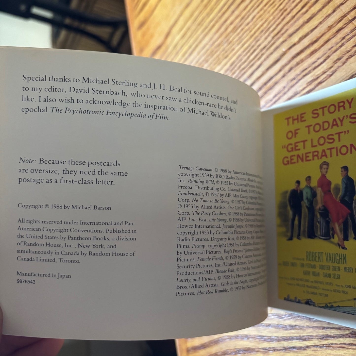 Michael Barson, ed. - Lost, Lonely & Vicious: Postcards from the Great Trash Films
