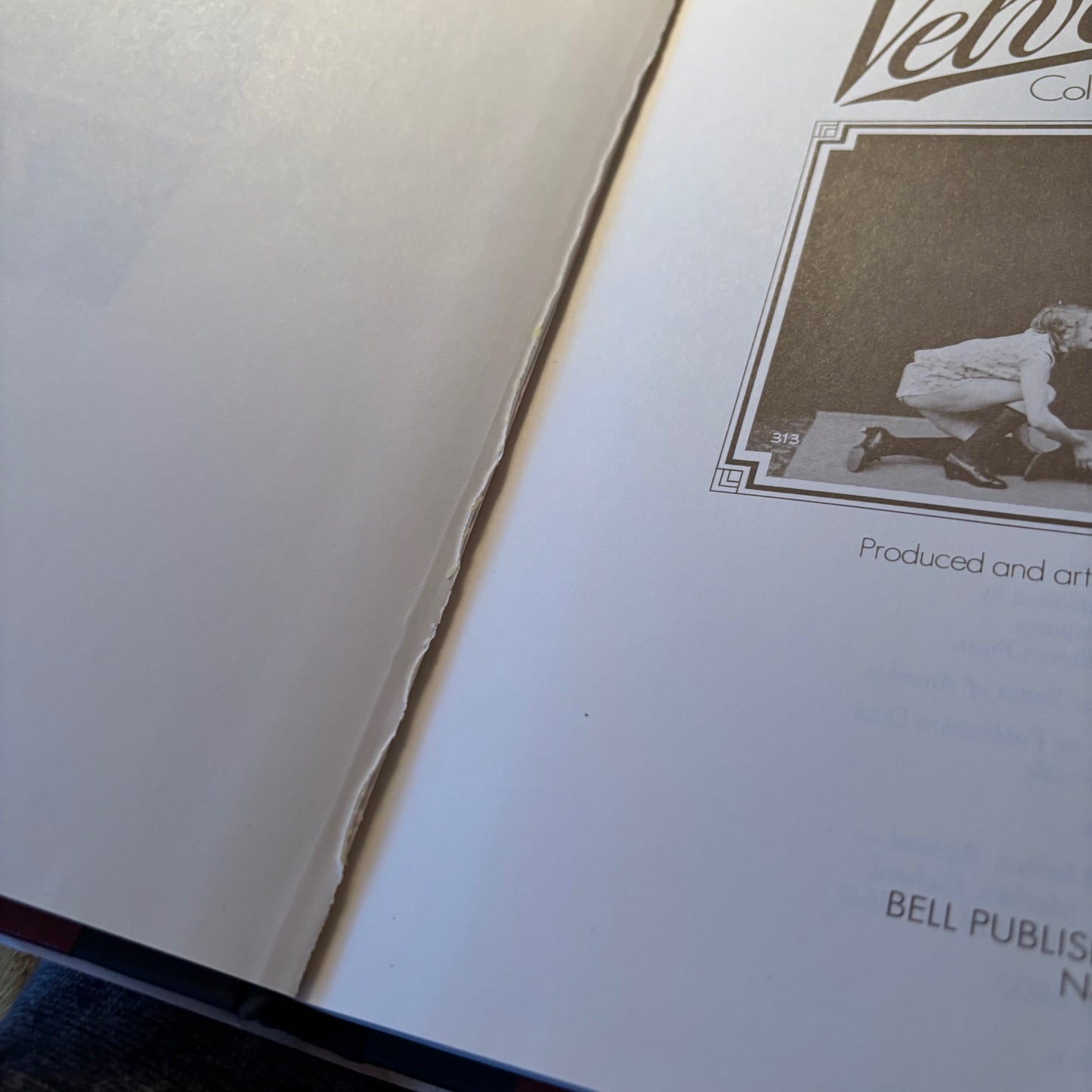 Velvet Eden: The Richard Merkin Collection of Erotic Photography